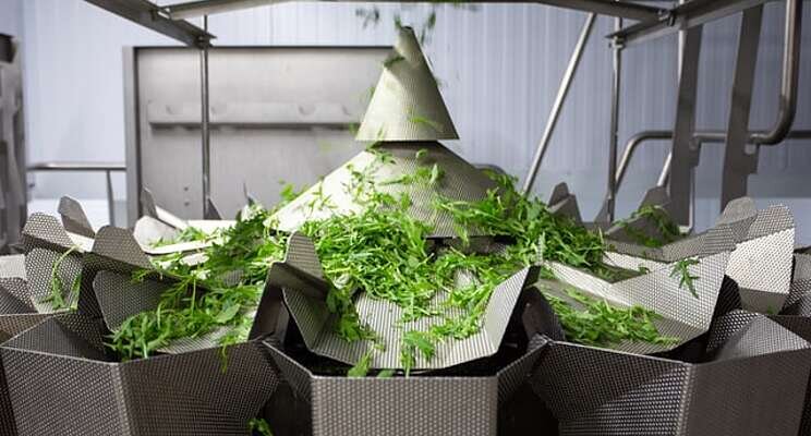 Avoid these five mistakes when choosing food-grade conveyors Avoid these five mistakes when choosing food-grade conveyors