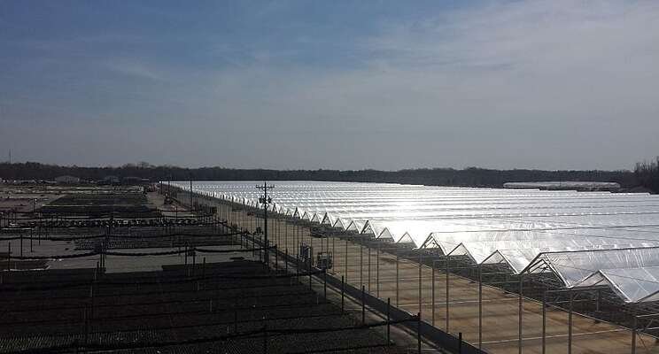 Preparing your greenhouse for a hurricane or severe storms Preparing your greenhouse for a hurricane or severe storms