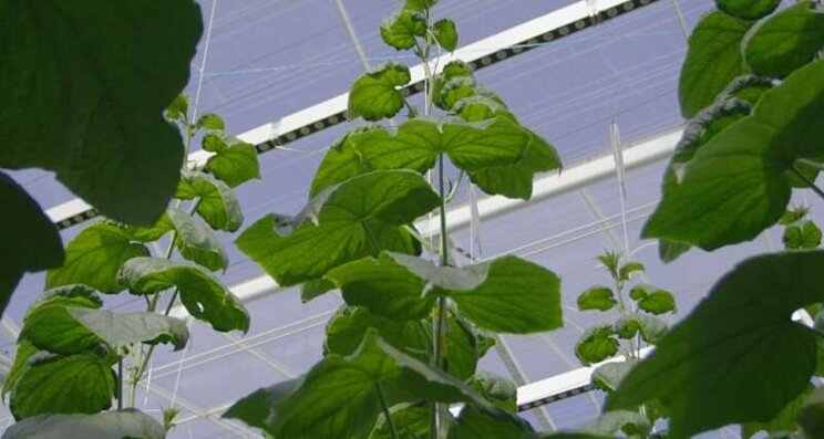 Working towards an autonomous greenhouse in the AGROS project Working towards an autonomous greenhouse in the AGROS project