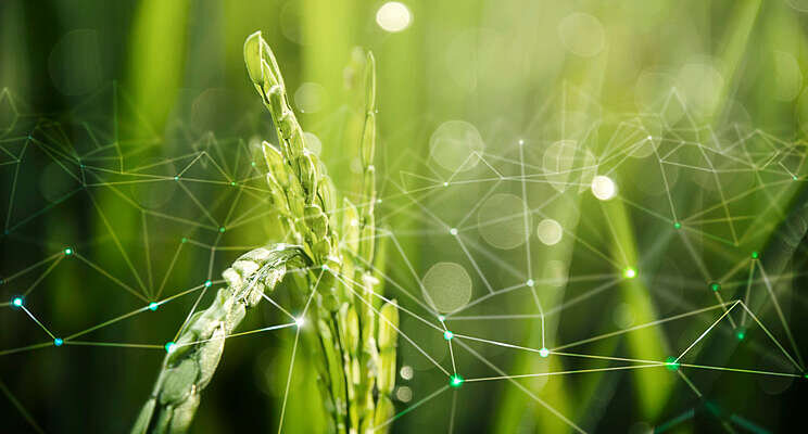 MMW launches new global ag tech initiative MMW launches new global ag tech initiative