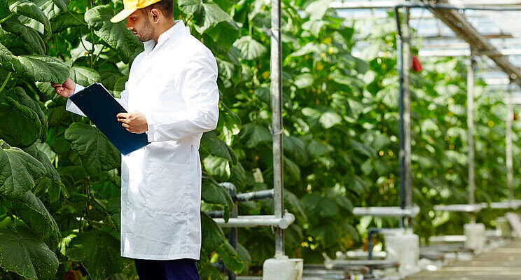 Five strategies for thwarting viruses in the greenhouse Five strategies for thwarting viruses in the greenhouse