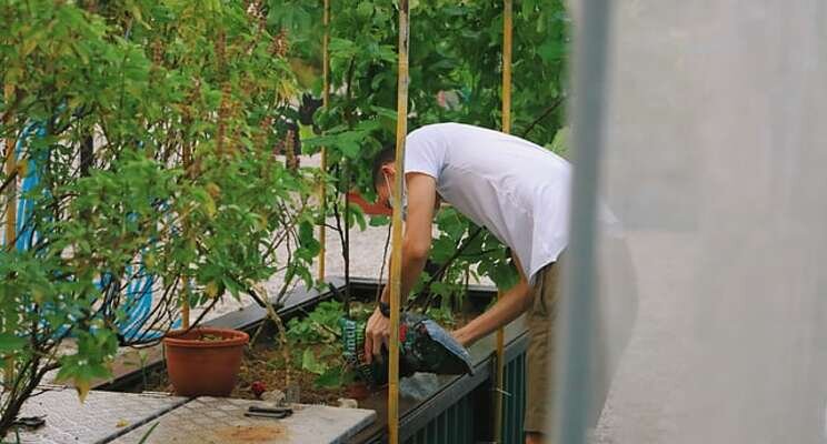 Bringing food production back to cities Bringing food production back to cities