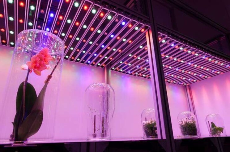Are LED lamps indeed more economical than SON-T? Are LED lamps indeed more economical than SON-T?