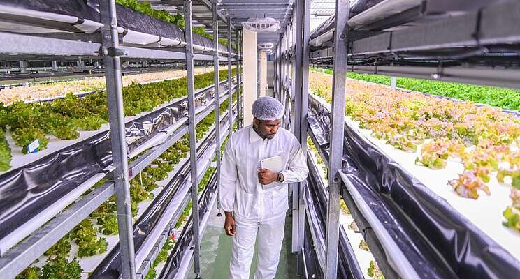 Leafood raises $6.75m to develop a vertical farming network Leafood raises $6.75m to develop a vertical farming network