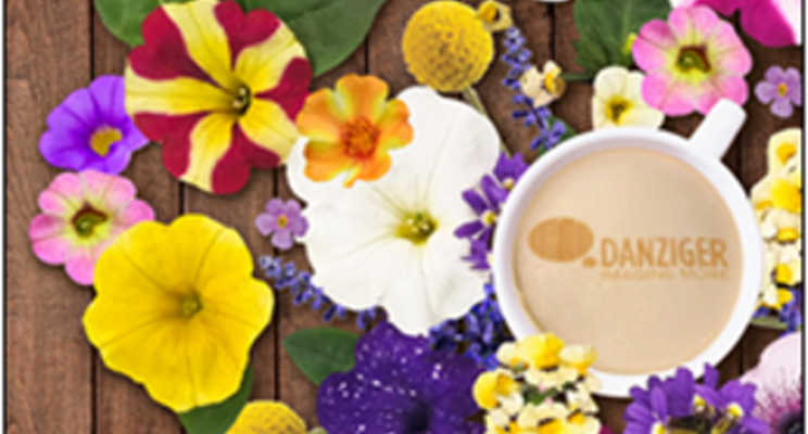 Perk up your Cultivate experience with Danziger Perk up your Cultivate experience with Danziger