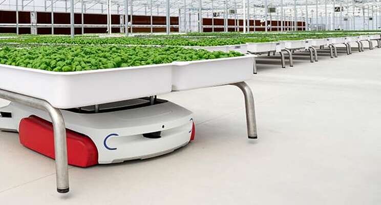 Using AI, robotics and plant science to grow better Using AI, robotics and plant science to grow better