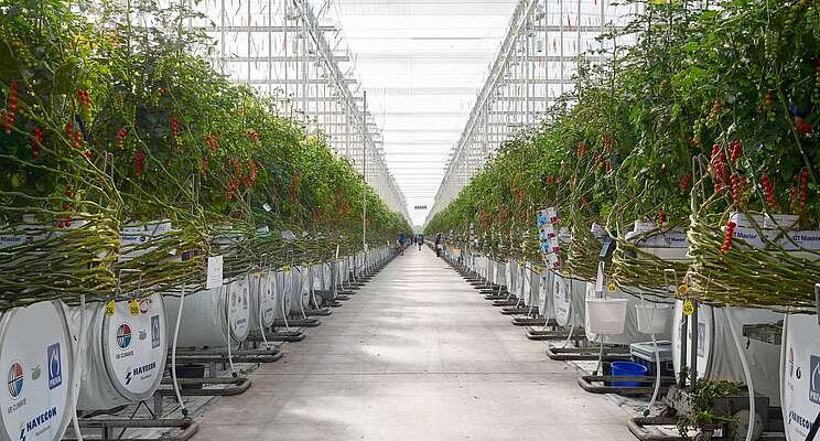 Signify supplies 40% more light with Philips GreenPower LED Signify supplies 40% more light with Philips GreenPower LED