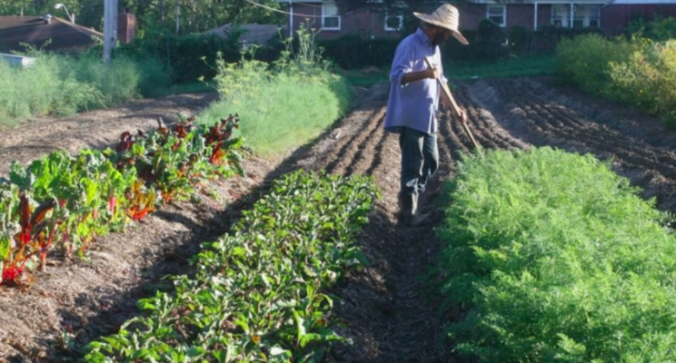 Healthy soil microbiology to reserve climate change Healthy soil microbiology to reserve climate change