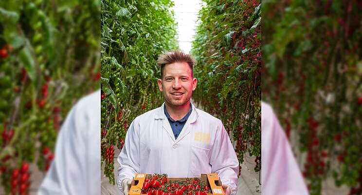 Major benefits of growing vegetables in a greenhouse