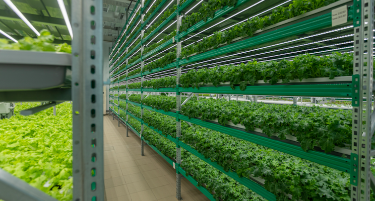 Vertical solutions to honey production Vertical solutions to honey production