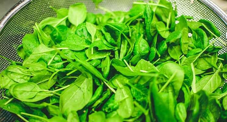 UAE vertical farm produces leafy greens for your plate