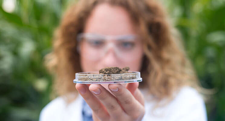 How technology can decrease carbon footprint in agriculture How technology can decrease carbon footprint in agriculture