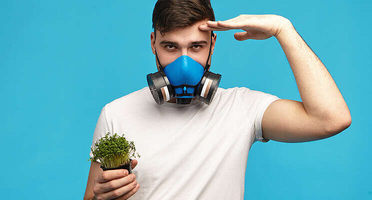 Cutting air pollution could boost crop yields by up to 28%