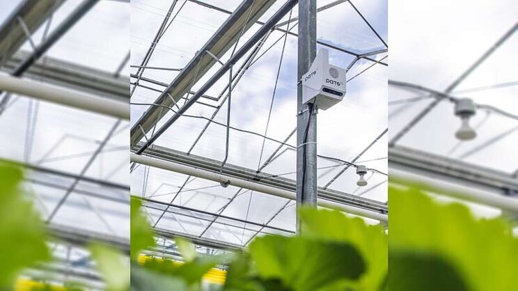 Latest developments in high-tech strawberry IPM Latest developments in high-tech strawberry IPM