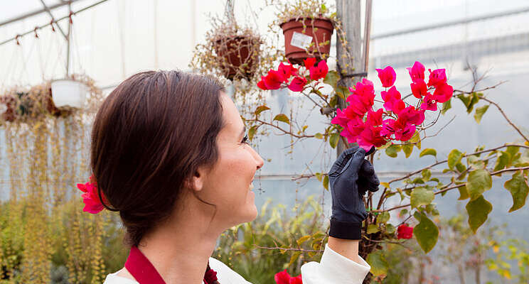 Why I celebrate past, present, and future women in horticulture Why I celebrate past, present, and future women in horticulture