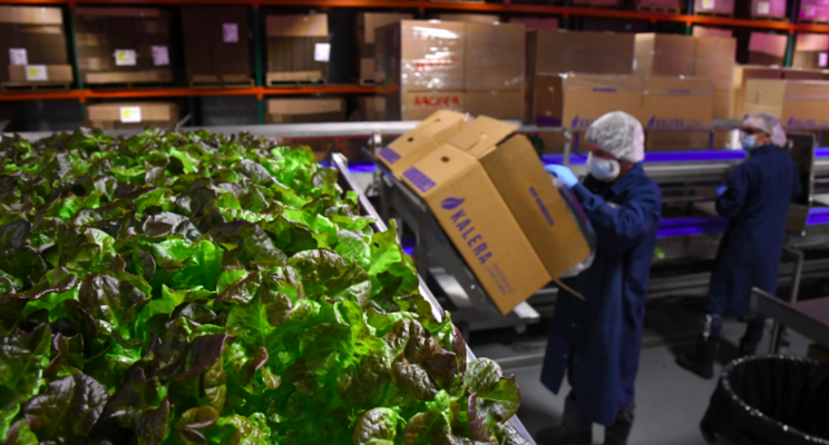 Vertical farm offers look at high-tech future for food production Vertical farm offers look at high-tech future for food production