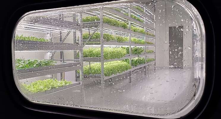 Vertical farms: A rising form of agriculture Vertical farms: A rising form of agriculture
