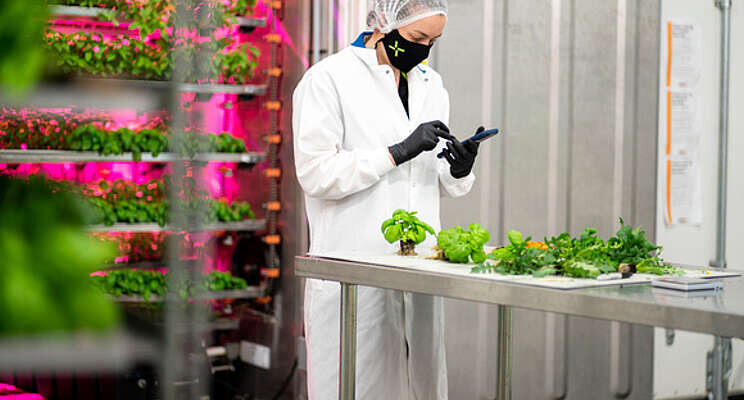 CubicFarm announces pricing of $10M overnight marketed offering CubicFarm announces pricing of $10M overnight marketed offering