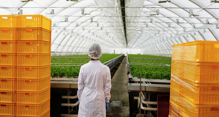 12 actionable business insights for CEA growers 12 actionable business insights for CEA growers
