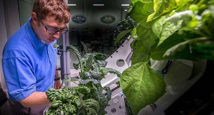 The future of CEA is unfolding abroad the int'l space station The future of CEA is unfolding abroad the int'l space station