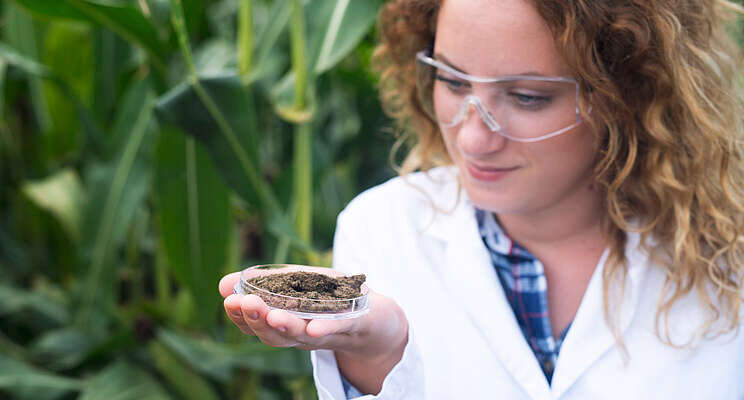 The best Biofungicide product: Biotalys' first biocontrol Evoca