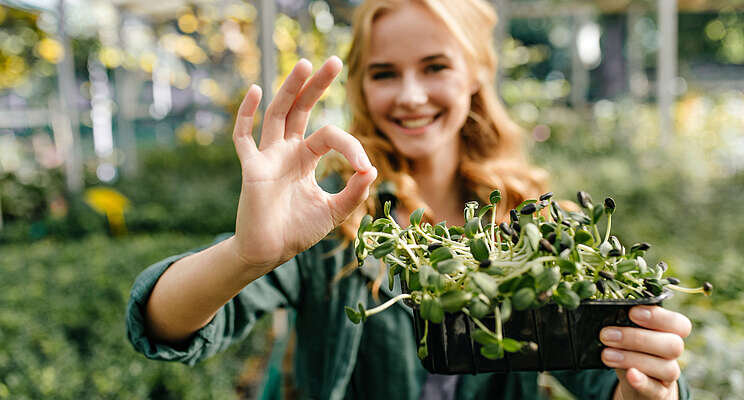 Optimizing your greenhouse for biostimulant efficiency Optimizing your greenhouse for biostimulant efficiency