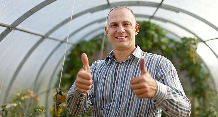 Tomato Man on a mission to help others rethink the plant