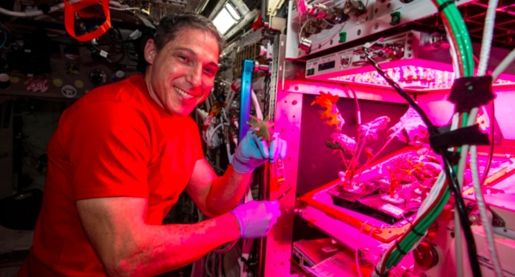 How NASA is feeding astronauts using VegBed grow mats? How NASA is feeding astronauts using VegBed grow mats?