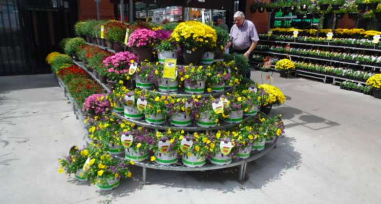 Opportunity to increase price of plants sold in garden centres Opportunity to increase price of plants sold in garden centres