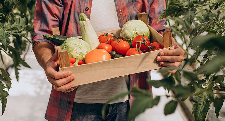 Trying to find enough greenhouse vegetable workers? Trying to find enough greenhouse vegetable workers?