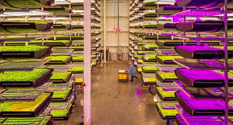 These are the world's largest vertical farms These are the world's largest vertical farms