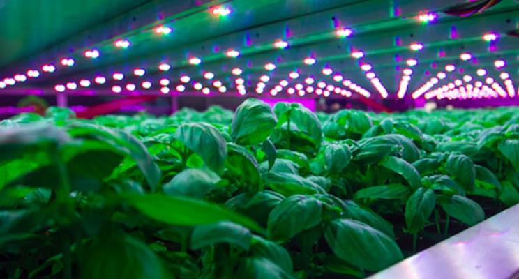OneFarm unveils plans for its first UK vertical farm installation OneFarm unveils plans for its first UK vertical farm installation