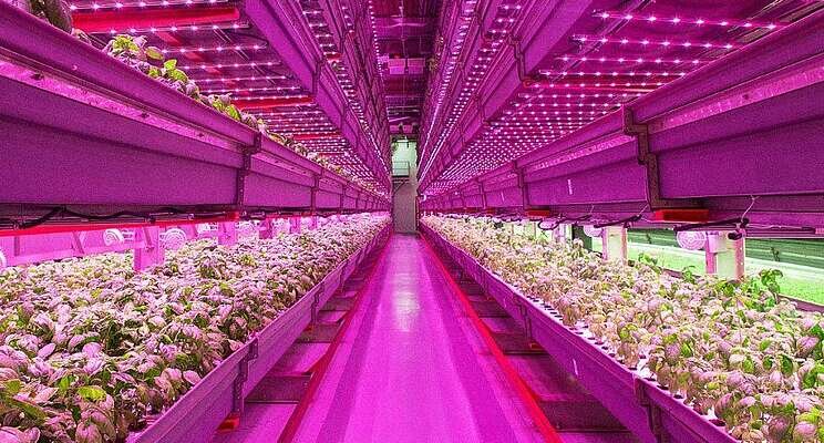 A holistic look at VF's carbon footprint and land use A holistic look at VF's carbon footprint and land use