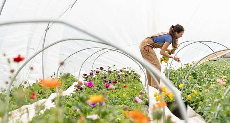 Summer solutions: Find those season extenders Summer solutions: Find those season extenders