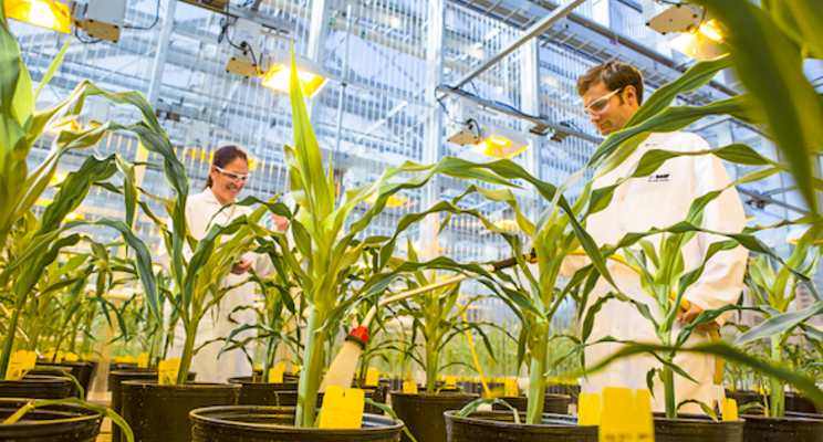 New molecular lab boosts crop research capabilities New molecular lab boosts crop research capabilities