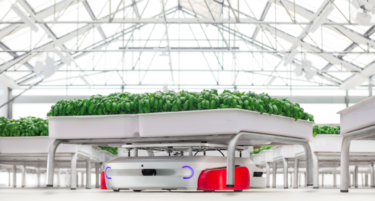 Greenhouse technology to monitor plants' needs Greenhouse technology to monitor plants' needs