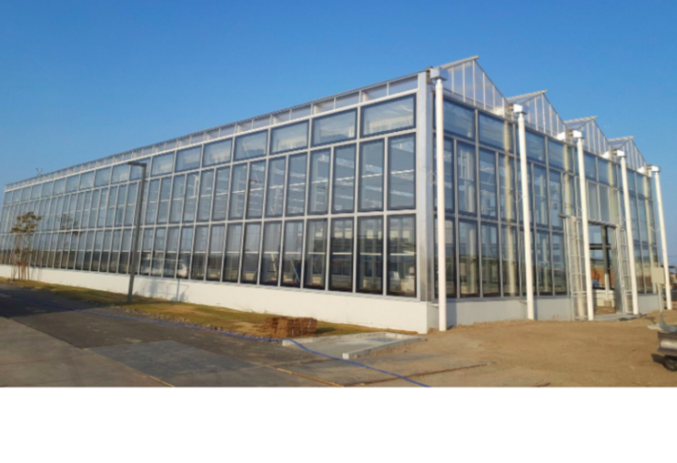 Aqua Ignis Sendai Greenhouse: Sendai, Japan Aqua Ignis Sendai Greenhouse: Sendai, Japan