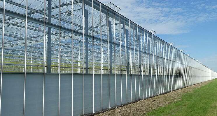 Sunny update on solar greenhouses in Perth and Japan Sunny update on solar greenhouses in Perth and Japan