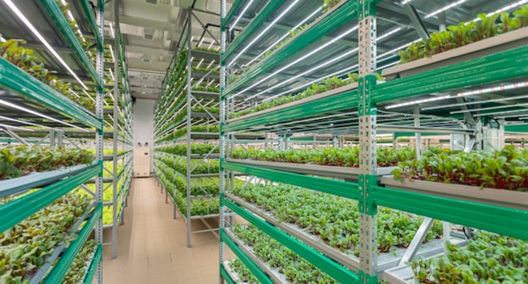 Optimizing the efficiency of LED lighting schemes Optimizing the efficiency of LED lighting schemes