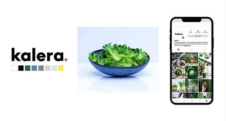Leader in vertical farming turns new leaf with branding relaunch Leader in vertical farming turns new leaf with branding relaunch