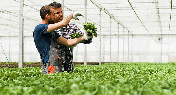 Automonous Greenhouse Challenge nearing final stages Automonous Greenhouse Challenge nearing final stages