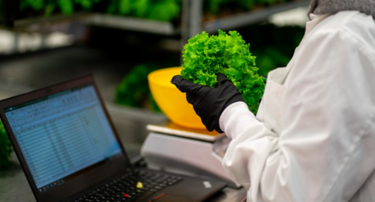 CubicFarm Systems is putting sustainability back into farming CubicFarm Systems is putting sustainability back into farming