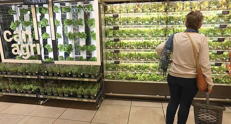 First in-store vertical farm launched First in-store vertical farm launched