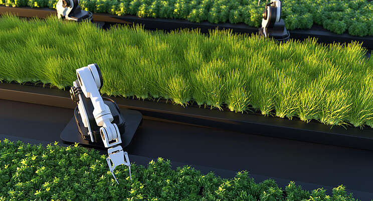 How robots can help grow crops in a greenhouse How robots can help grow crops in a greenhouse