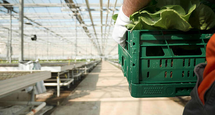 Carbon tax relief grants open for BC greenhouse growers Carbon tax relief grants open for BC greenhouse growers