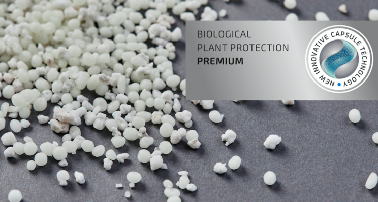 Protection for combating fungus gnats on greenhouses Protection for combating fungus gnats on greenhouses