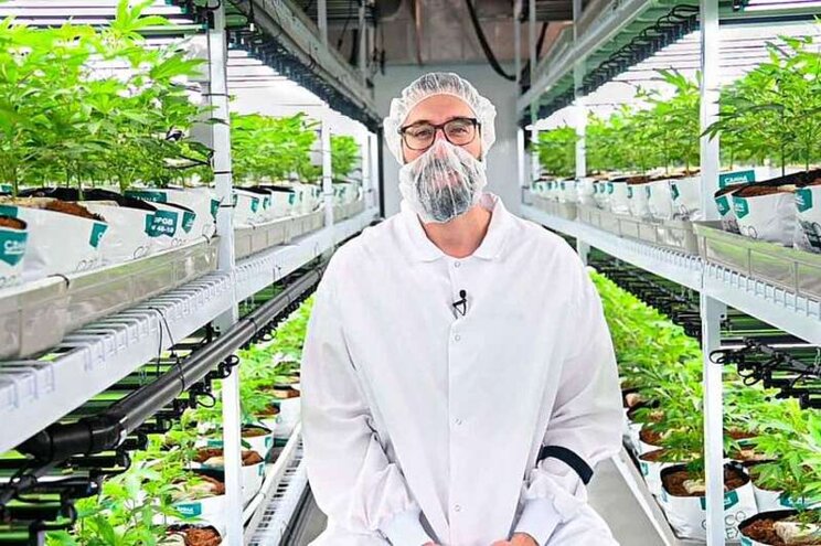 This master cannabis grower is helping indoor farming solutions This master cannabis grower is helping indoor farming solutions