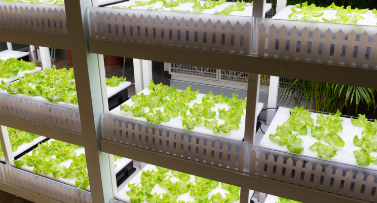 7 tips for cutting your urban farming costs 7 tips for cutting your urban farming costs