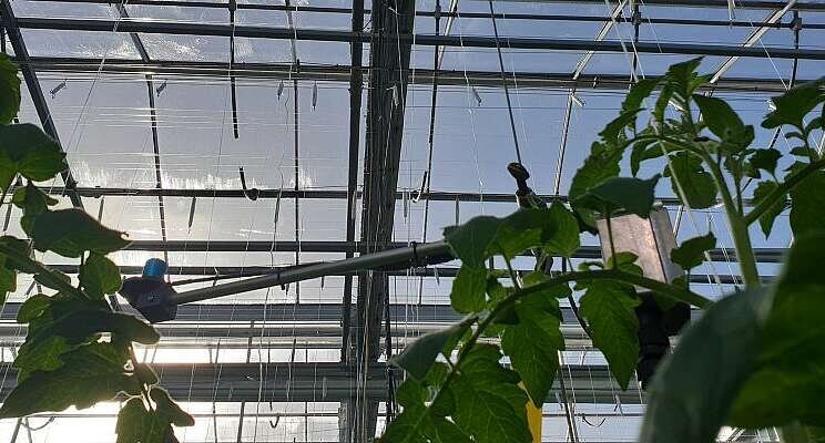 WUR investigates transparent and energy-efficient coating WUR investigates transparent and energy-efficient coating