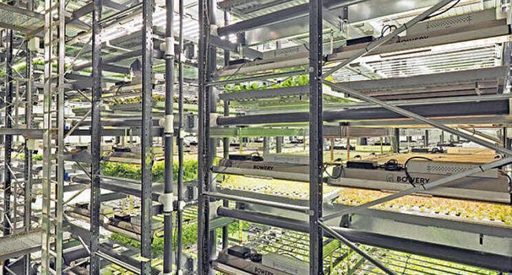 Vertical farming grows up Vertical farming grows up